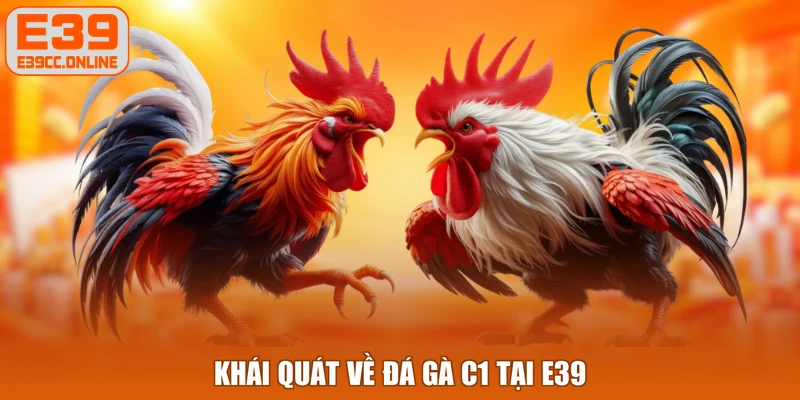 Khái quát về đá gà C1 tại E39
