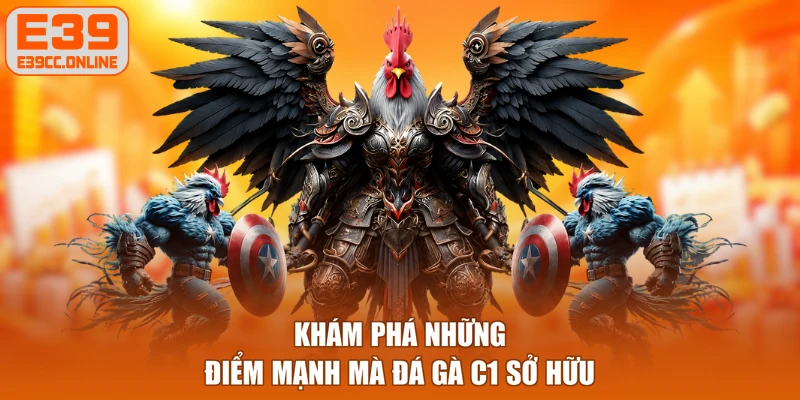 Khám phá những điểm mạnh mà đá gà C1 sở hữu