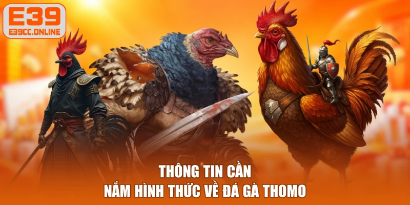 Thông tin cần nắm hình thức về đá gà Thomo